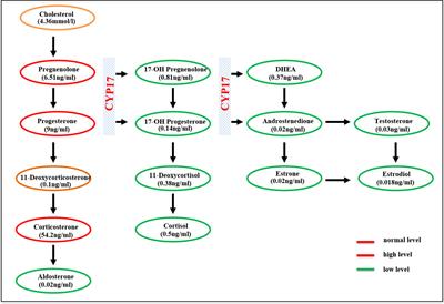 An Asian case of combined 17α-hydroxylase/17,20-lyase deficiency due to homozygous p.R96Q mutation: A case report and review of the literature